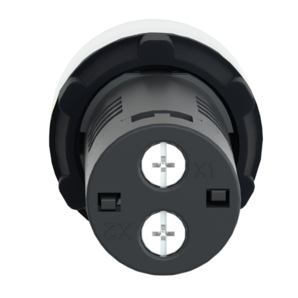 Captura de tela 2024-03-07 201814_11zon